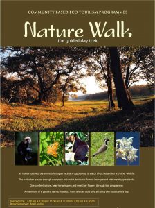 nature-walk