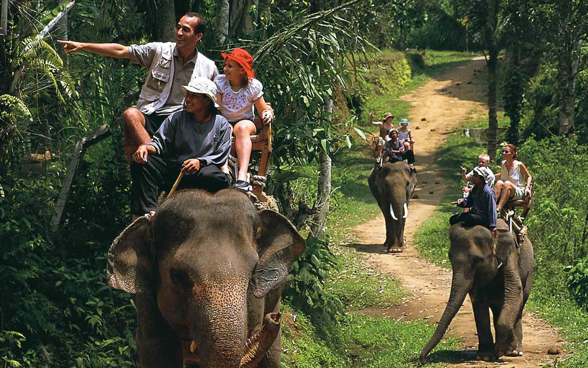 Family elephant safari in Thekkady - Kerala family tours